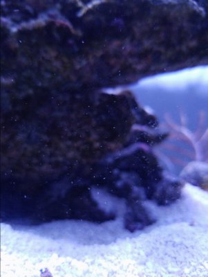 20171001_193633.jpg