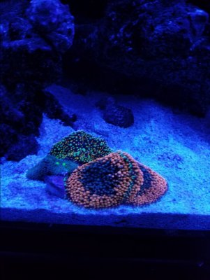 20171002_205631.jpg