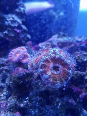 20170924_184917.jpg