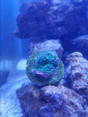 20170219_192331.jpg