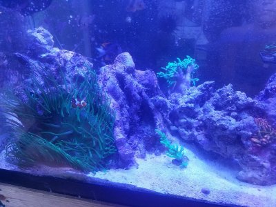 20171021_160808.jpg