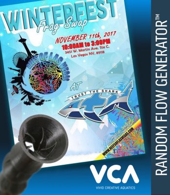 VCA-ROLF_WInter-Frag-Fest.jpg