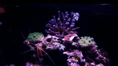 20160317_213000.jpg