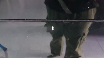 20170611_172307.jpg