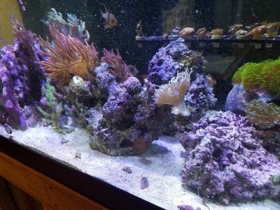 20171126_172203.jpg