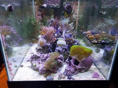 20171126_172234.jpg