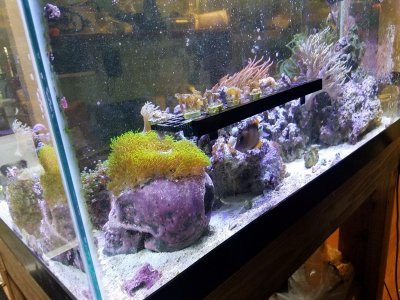 20171126_172223.jpg