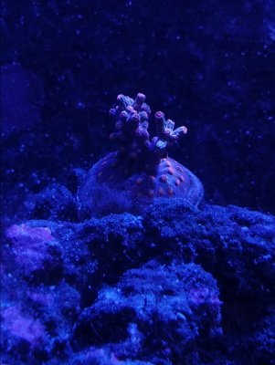 20171128_213931.jpg