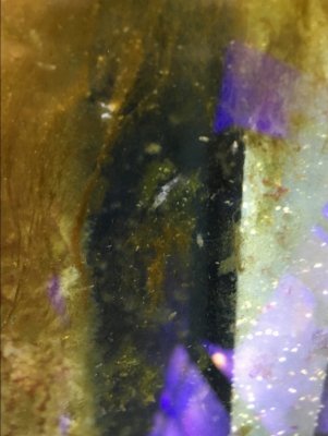 67D25E5D-6B65-44BB-861E-E49558FF1E18.jpeg