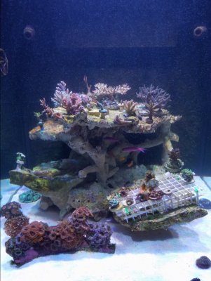 20171130_192432.jpg