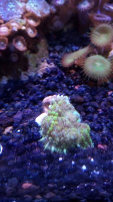 IMG_20171208_133528.jpg