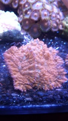 IMG_20171208_133513.jpg