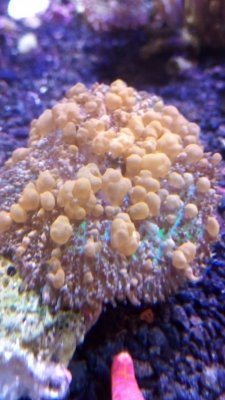 IMG_20171208_133456.jpg