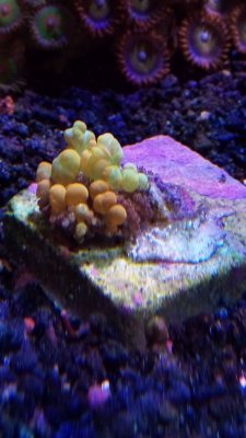IMG_20171208_133448.jpg