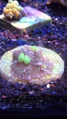 IMG_20171208_133441.jpg