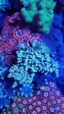 IMG_20171207_194401.jpg