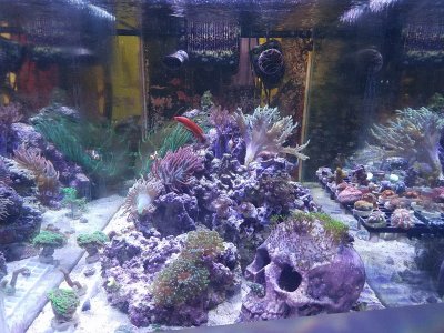 20171217_123015.jpg
