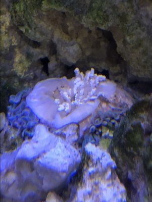 IMG_0529.jpeg