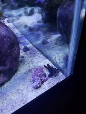 20171231_142547.jpg