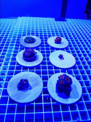 20180103_212201.jpg