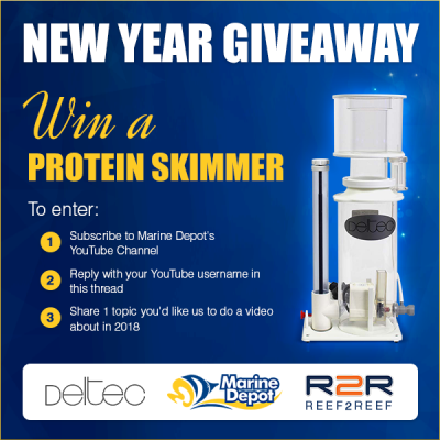New Year, New Giveaway: Win a DELTEC Skimmer! - A R2R Exclusive Contest