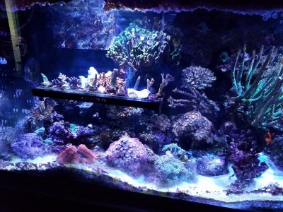 20170720_113222.jpg