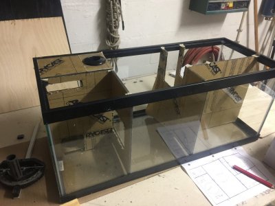 0BDBD953-D599-45D2-87C0-F9CC2B1E0059.jpeg