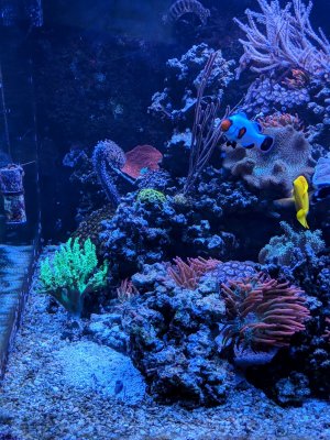 MVIMG_20180127_175053.jpg