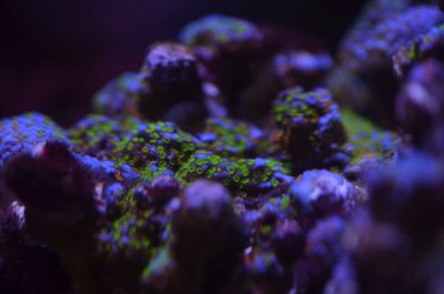 DSC_8554.JPG