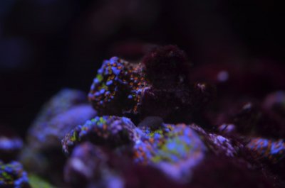 DSC_8556.JPG