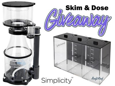 The Simplicity Skim and Dose Giveaway!