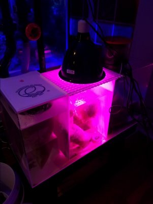 20180225_210121.jpg