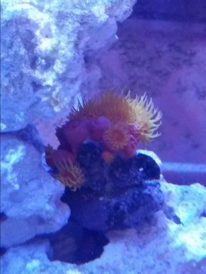 20180226_211440.jpg