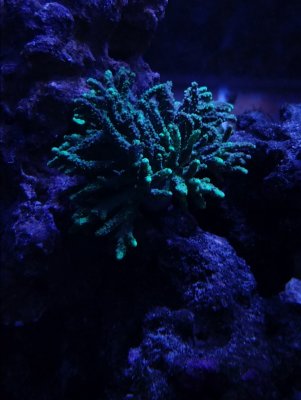 20180302_204548.jpg