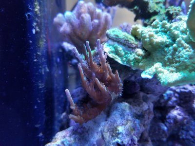 20180310_134114.jpg