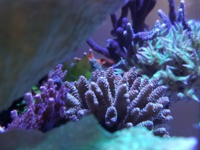 20180310_134207.jpg