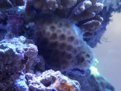 20180310_134142.jpg
