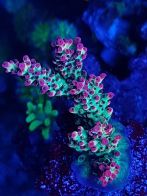 4eb2a239-6eb7-4f12-a69e-5678bdb14c0c.jpg