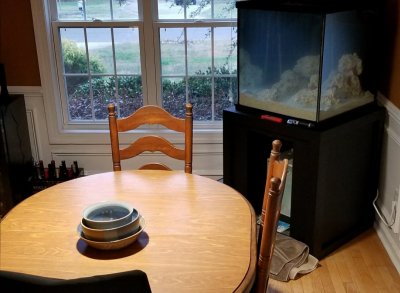20180311_173522.jpg