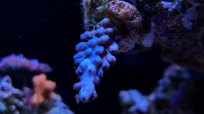 IMG_20180318_174505.jpg