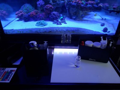20180325_141202.jpg