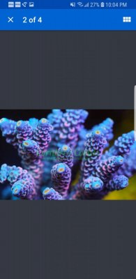 Screenshot_20180325-220438_eBay.jpg