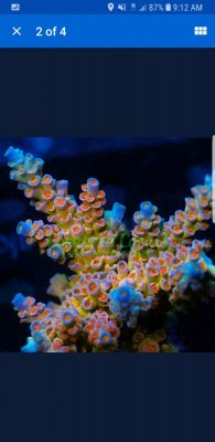 Screenshot_20180326-091222_eBay.jpg