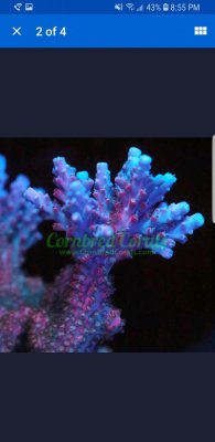 Screenshot_20180325-205534_eBay.jpg