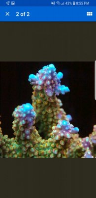 Screenshot_20180325-205543_eBay.jpg