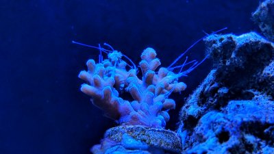 IMG_20180331_132205.jpg