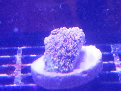 20180410_185047.jpg