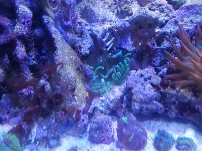 20180428_170634.jpg