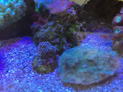 IMG_6213.JPG