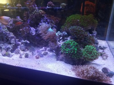 20180504_165649.jpg